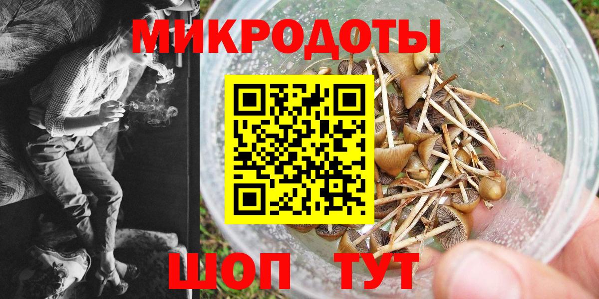 Псилоцибиновые грибы Magic Shrooms  Вход с VPN  Чапаевск 