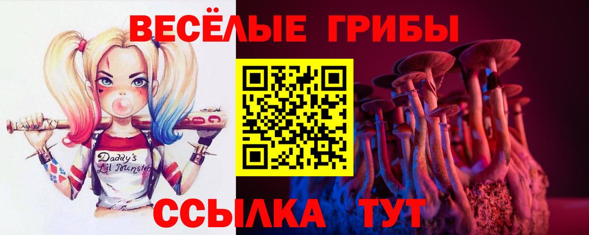 Псилоцибиновые грибы Psilocybine cubensis Чапаевск