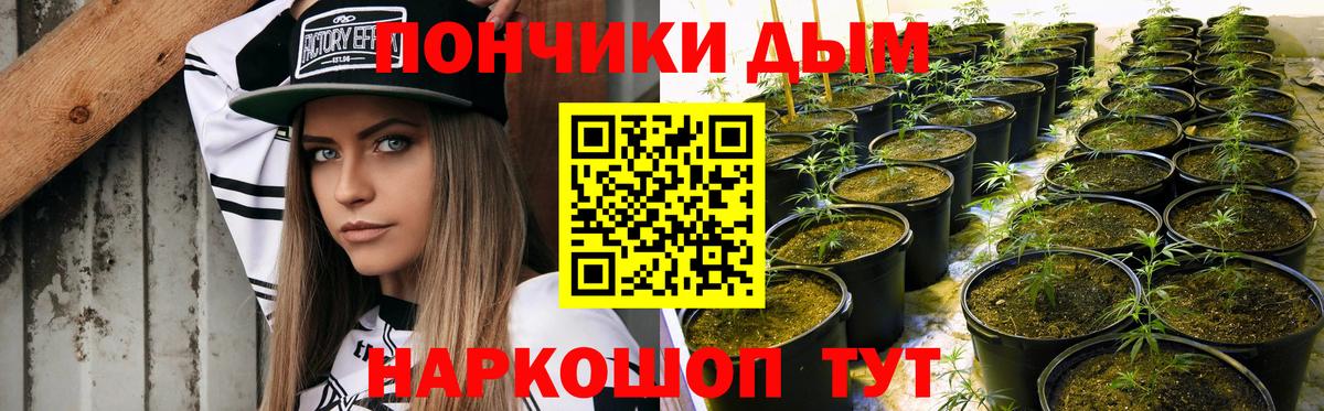 Бошки Шишки THC 21%  Марихуана Amnesia  Вход с VPN  Чапаевск  Бошки марихуана индика  Канабис планчик 
